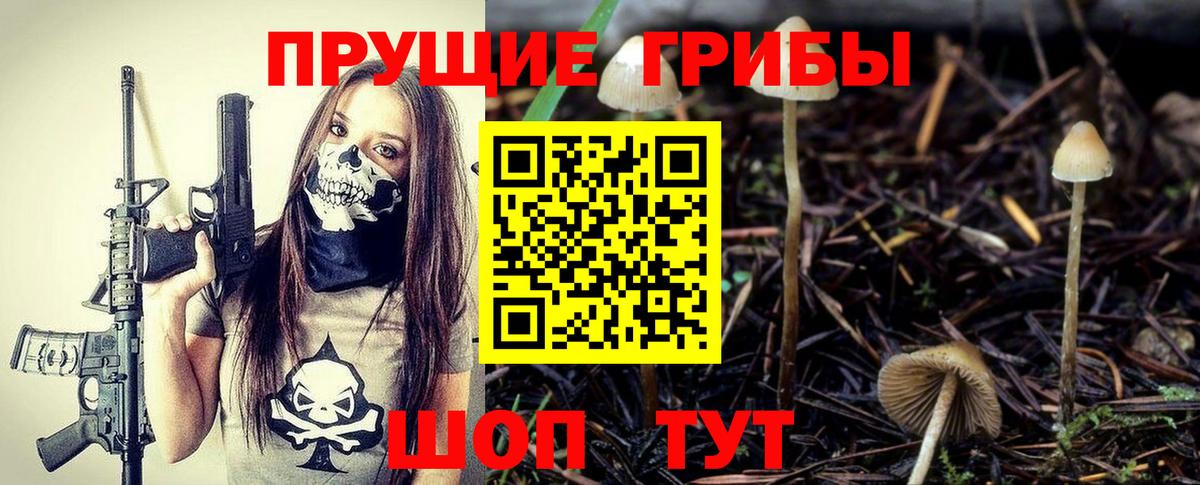 Псилоцибиновые грибы Magic Shrooms Красноармейск