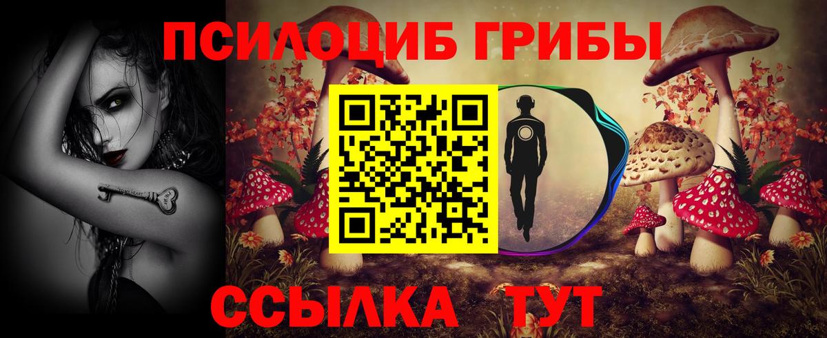 Псилоцибиновые грибы Magic Shrooms  Псилоцибиновые грибы Cubensis  Вход с VPN  Красноармейск 